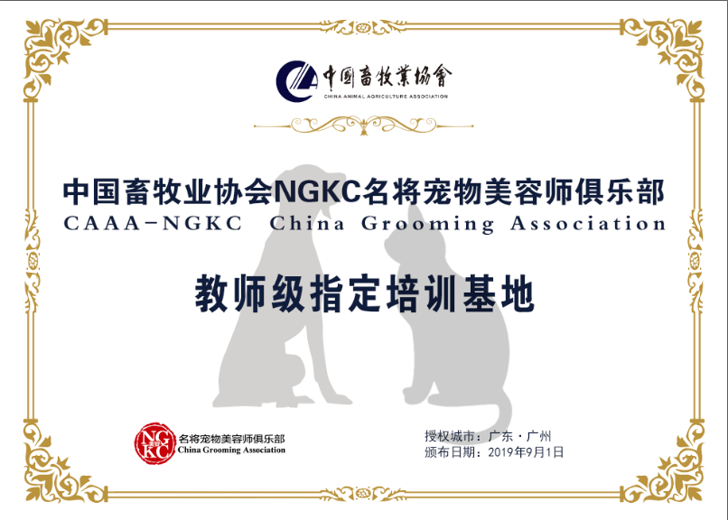 NGKC宠物美容师俱乐部目前国内首个也是唯一一个教师级猫护理指定培训基地